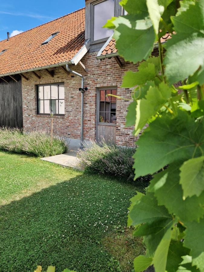 Muntershof Villa Velzeke-Ruddershove Eksteriør bilde
